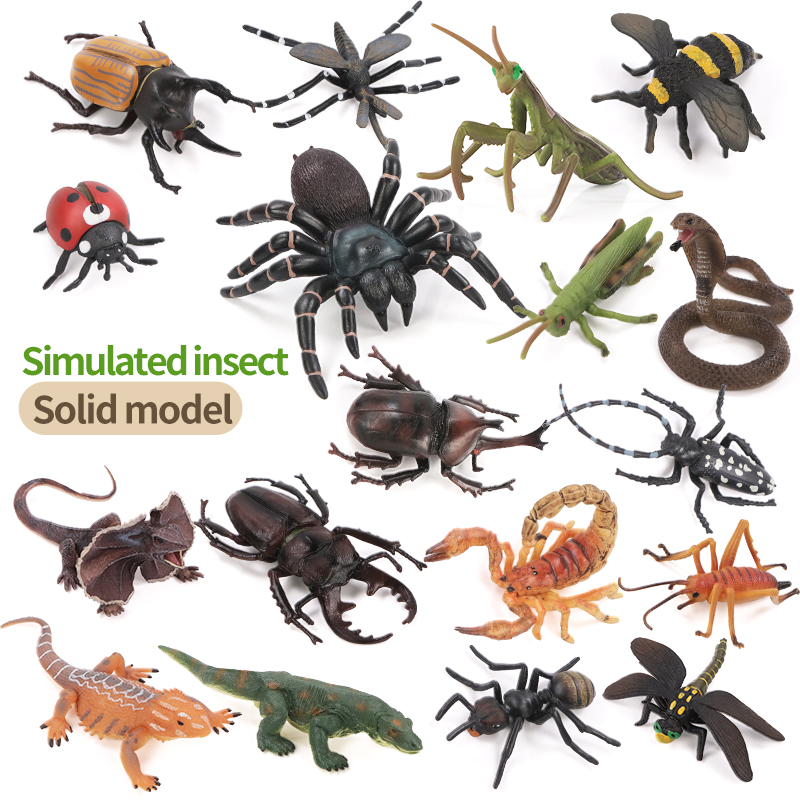 Educational Simulation Insect  - đánh giá và giá Kids Toys Brand